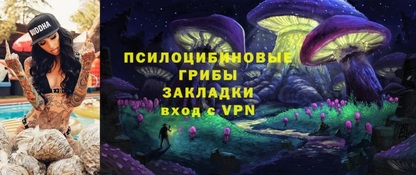 кокс Арсеньев