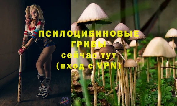 кокс Арсеньев