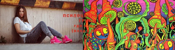 кокс Арсеньев