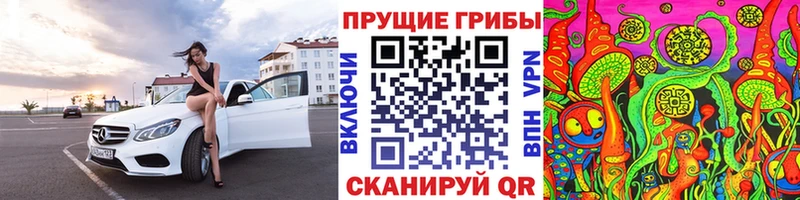 Псилоцибиновые грибы Cubensis  хочу   Павлово 